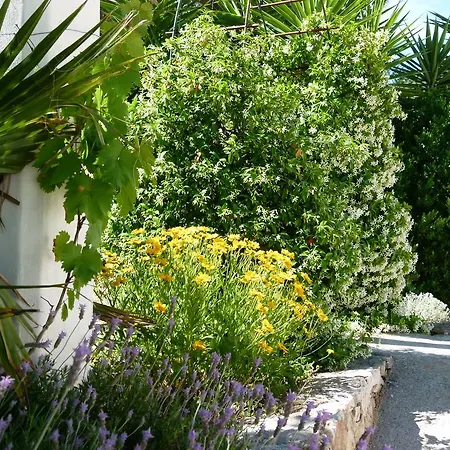 Trullo Solari * Ceglie Messapica