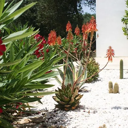 Trullo Solari Villa Ceglie Messapica